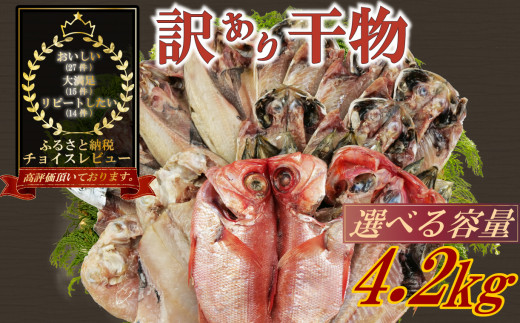 yÉÎsz󂠂  ܂ Iׂ e 4.2kg lߍ킹  Ђ Ђ Ђ 󂠂 ܂  Ђ lߍ킹 󂠂  Zbg {