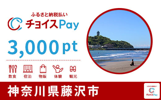 藤沢市チョイスPay 1,500pt（1pt＝1円） - 神奈川県藤沢市｜ふるさとチョイス - ふるさと納税サイト