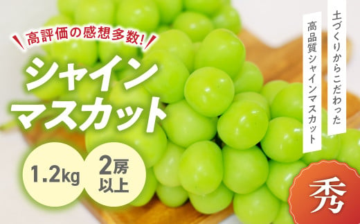 2025年分発送】 完熟 シャインマスカット 2房以上 1.2kg 先行予約 先行 予約 山梨県産 朝採り 新鮮 土にこだわった シャインマスカット  産地直送 フルーツ 果物 くだもの ぶどう ブドウ 葡萄 シャイン シャインマスカット 新鮮 人気 おすすめ 国産 贈答 ギフト お取り寄せ ...