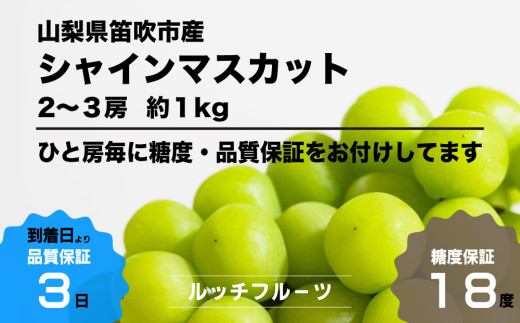 糖度18度保証付】シャインマスカット 約1kg 2～3房【2025年発送】＜数量限定＞旬の美味しいフルーツだけをお届けします【ルッチ  Rucci】産地直送 山梨県 笛吹市 糖度 品質 保証 葡萄 ぶどう 新鮮 旬 くだもの 果物 フルーツ 人気 ランキング リピート 高評価 ギフト  贈答 ...