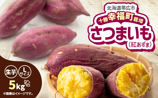 ykCэLszst!\uKv܂(g)LTCY5kgy1490879z