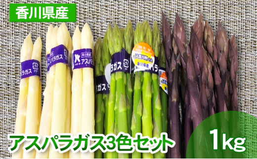 y쌧sz[4631-1974]AXpKX3FZbg 1kg