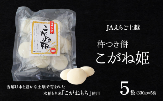 yVzsz JAz n ˕P ۖ   