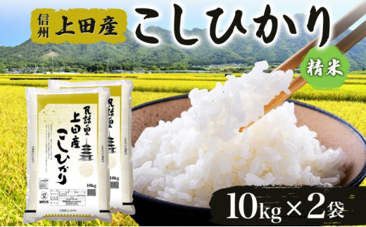 y쌧cszߘa7NY 쌧 MB csY Ђ 10kg×2 v20kg   uh  RVqJ  CX ٓ ɂ H Y {Y aH [5312-11