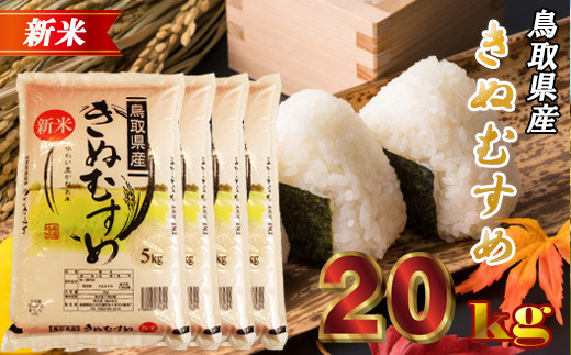 鳥取県産米 令和6年産「きぬむすめ」（約10kg）: 全農とっとり