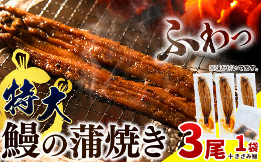 ふるさと納税 北九州市 九州産手焼き炭火うなぎ蒲焼3尾(1尾