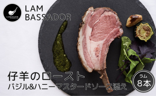 yQnszy24118zuLAMBASSADORv er̃[Xg@oWnj[}X^[\[XYi8{j