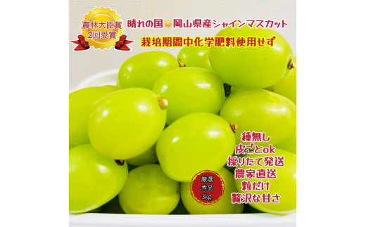 yRRszԂǂ 2026N  VC}XJbg I Gi  3kg R Y ʕ t[c 2026N7{甭