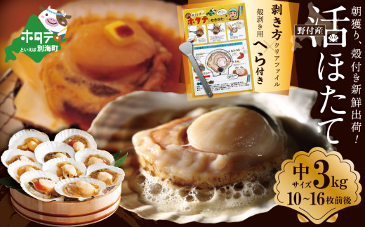 ykCʊCzyً}xiz ǂ VNo z^e TCY 3kgO(10~16O)@kC tY H׉QyUY0000015ziقā@z^e@t@tYz^e@kC@ʊC