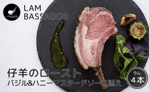 yQnszy 24113zuLAMBASSADORv er̃[Xg@oWnj[}X^[\[XYi4{j
