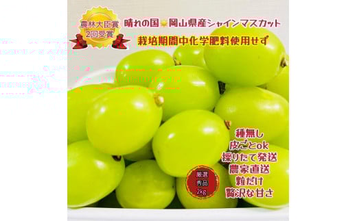 yRRszԂǂ 2026N  VC}XJbg I Gi  2kg R Y ʕ t[c  2026N7{甭