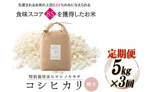 6回定期】特別栽培米 コシヒカリ ヒロシノキモチ 精米 10kg 総計60kg ブランド米 銘柄米 国産 米 お米 日本米 ギフト 贈り物 備蓄 防災  食品 陽咲玲 はるざれ F6T-555 - 富山県立山町｜ふるさとチョイス - ふるさと納税サイト