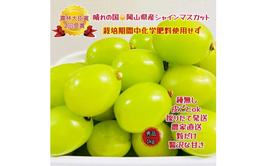 yRRszԂǂ2026N  VC}XJbg Gi  1kg R Y ʕ t[c  2026N6{甭