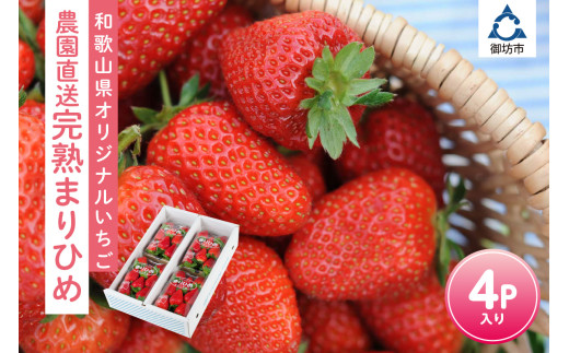 和歌山オリジナルいちご『完熟まりひめ』4パック入り《先行予約》2026