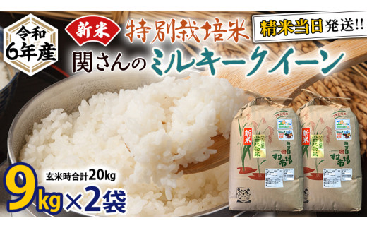 特別栽培米 》令和6年産 精米日出荷 関さんの「 ミルキークイーン 」 9kg × 2袋 ( 玄米時 20kg ) 新鮮 精米 米 こめ コメ  特別栽培農産物 認定米 新米 - 茨城県牛久市｜ふるさとチョイス - ふるさと納税サイト