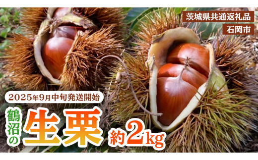 茨城県産生栗 約10k 029 飯沼栗 2kg 高級 茨城県 茨城町産 ブランド くり 希少 品種