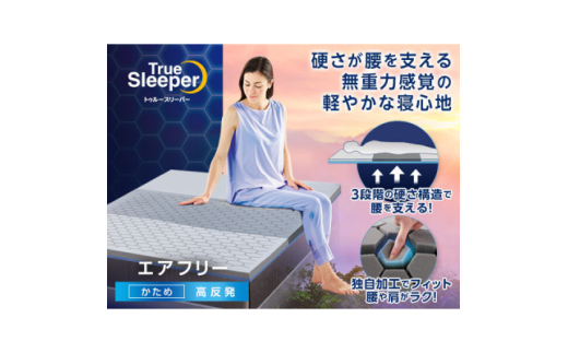 トゥルースリーパー エアフリー ダブル【1562500】 - 愛知県新城市  