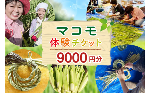 マコモ体験チケット（9,000円分）田植え 収穫 マコモ料理 手仕事体験