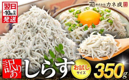 ymmz󂠂 g 炷 350g   Y F Ⓚ m m  ͂   Y Jl VX lC 