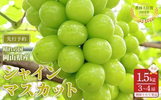 yRRszԂǂ 2026N  VC}XJbg Gi 1.5kg v3`4[ _ёb܎ R Y ʕ t[c VC }XJbg 2026N6{甭