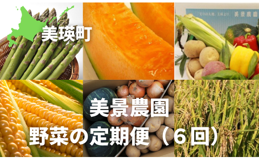 幻のアスパラ 令和7年産！ ラスノーブルＨＡＫＯＩＲＩ「畑発・冷蔵庫のドアポケット行」×２箱 墫乃字 | 800g グリーン アスパラガス アスパラ  あすぱら あすぱらがす 採れたて 新鮮 旬 産地直送 野菜 [017-52] - 北海道美瑛町｜ふるさとチョイス - ふるさと納税サイト