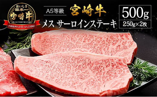 【宮崎県】プレミアムシリーズ 宮崎県産 倉薗牧場 A5等級 宮崎牛 メス サーロインステーキ