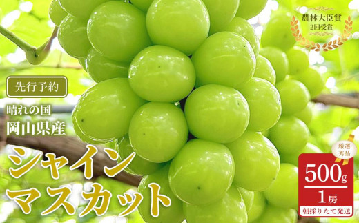 yRRszԂǂ 2026N  VC}XJbg I Gi 500g 1[ _ёb܎ R Y ʕ t[c VC }XJbg 2026N7{甭