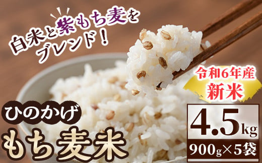 令和6年産＞宮崎県日之影町産もち麦米(900g×5袋) 紫もち麦 ヒノヒカリ 米 精米 国産 小分け 【AF001】【株式会社ひのかげアグリファーム】  - 宮崎県日之影町｜ふるさとチョイス - ふるさと納税サイト