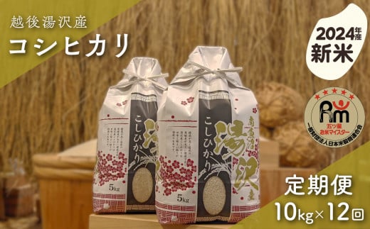 地場産品】伝統野菜かぐら南蛮と自家製みそで作られた辛みそ「からいすけ(緑)1箱2個入」さまざまなお料理に！ - 新潟県湯沢町｜ふるさとチョイス -  ふるさと納税サイト