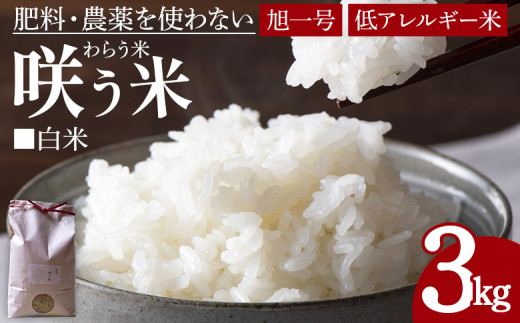 y{茧xzߘa7NYu炤āvi炤āEƍ̎戮ꍆj 3kg y  R   R͔| ᓜ ӂ ͂ H ɂ   ` H z