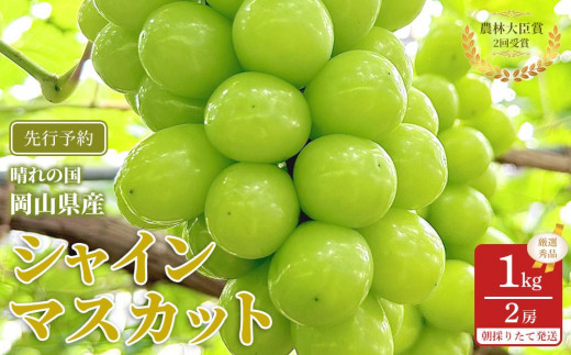 yRRszԂǂ 2026N  VC}XJbg I Gi 1kg v2[ _ёb܎ R Y ʕ t[c VC }XJbg 2026N7{甭