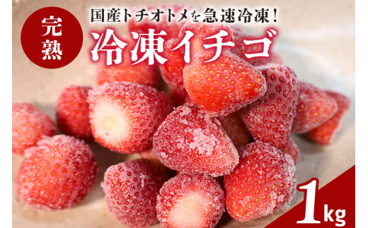 y錧}Ԏszn ⓀC`S 1kg