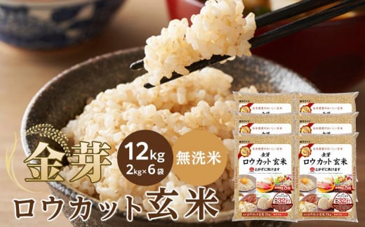 ya̎Ra̎Rsz胍EJbg 12kgi2kg×6jy EJbg Č Č Č lC a̎R a̎Rs CQ36 z