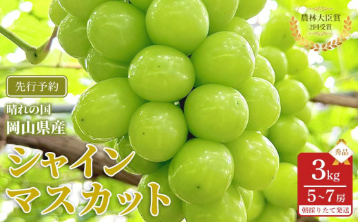 yRRszԂǂ 2026N  VC}XJbg Gi 3kg v5`7[ _ёb܎ R Y ʕ t[c VC }XJbg 2026N6{甭