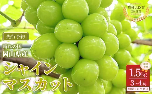 yRRszԂǂ 2026N  VC}XJbg I Gi 1.5kg v3`4[ _ёb܎ R Y ʕ t[c VC }XJbg 2026N7{甭