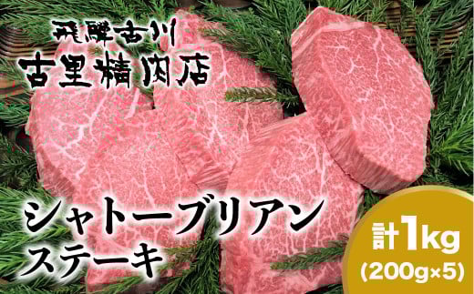 【岐阜県飛騨市】飛騨牛5等級のヒレ肉・シャトーブリアンステーキ 200g × 5枚 合計1kg 肉 ステーキ 飛騨牛 和牛 牛肉 人気 リピーター 岐阜県 飛騨市 和牛 ヒレ ステーキ