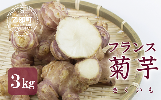 ささや農園産 フランスキクイモ3kg＞北海道 道産 国産 乙部町 キクイモ