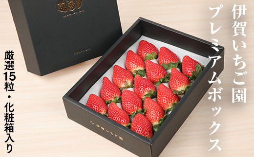 先行予約】伊賀いちご園のプレミアムボックス 厳選15粒化粧箱入り 数量