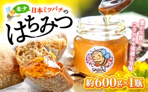 ニホンミツバチのはちみつ600g×４本 ニホンミツバチのはちみつ600g×4本