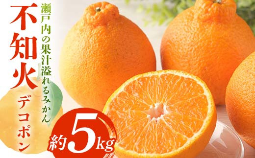 高松市西部の不知火(デコポン) デコポン | 高松青果株式会社｜香川県高松市の青果物卸売業者