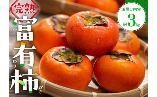 y쌧szn xL ` 3kg y2025-10{`2025-12{zz