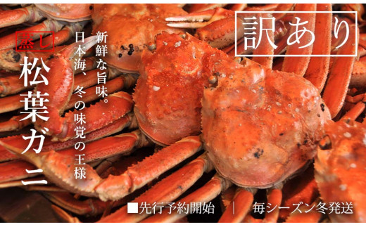 y挧]{z󂠂 ܂ꏼtKj 3`5 (v1.5kgO)  킢 Jj  A TM13 0723