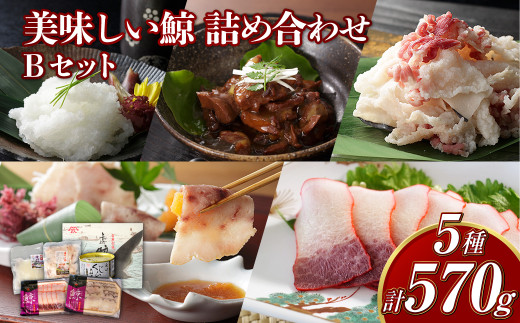 y茧szy7cƓȓz~5lߍ킹BZbg (aϊʋlEIo~Ex[RXCXEEXCX) v570g ^ ~ NW ~ Zbg