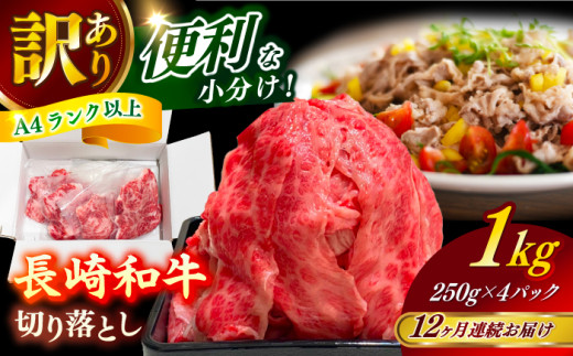 y茧VܓzyS12ցz@y󂠂z aioAA[X̂ꂩj1kg ؂藎Ƃ 250g×4P  yЎz [RCE013]