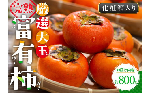 y쌧szI n xL` ϔ 800gy2025-10{`2025-12{zz