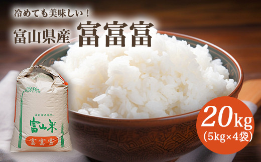 令和7年度産 長引野丘陵 黒土 雪解け水 気温差 富山県魚津産 富富富  