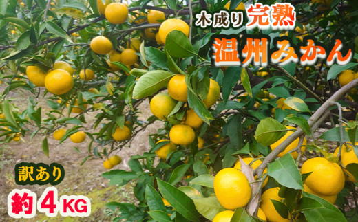 yQRszy󂠂zy4kgzQ Y B݂   Yn ƒpi݂ Yn ݂  { 킯 󂠂 k ʕ t[c x Q Rj 炿 Q {_