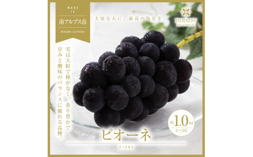 yRAvXsz2026Ns\񁄓AvXsY@{̍̂ꂽăsI[l@2`3[@1kg ALPAH012