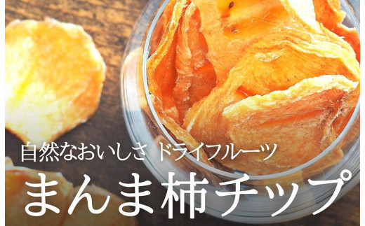 【和歌山県有田川町】ドライフルーツ 柿チップ 800g ( 40g × 20袋 ) 和歌山県産 果物使用 自社製造 【みかんの会】