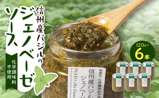 y쌧sẑMBYoW̃WFmx[[\[X 120g×6{y1437610z